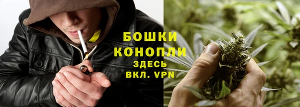 бошки Бородино