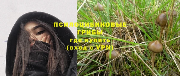 стаф Бронницы