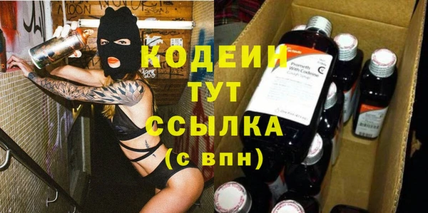 бошки Бородино