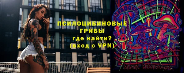 бошки Бородино