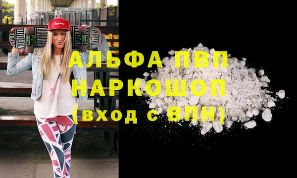 бошки Бородино