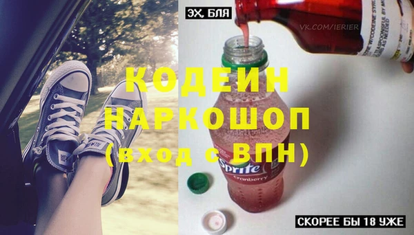 бошки Бородино