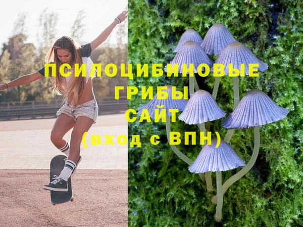 бошки Бородино