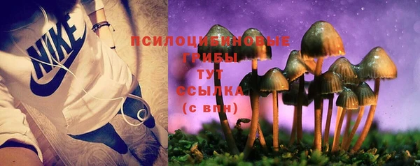 бошки Бородино