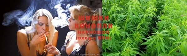 бошки Бородино