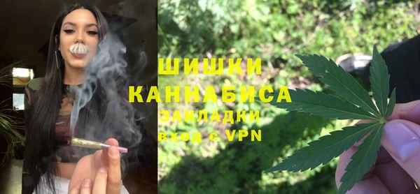 стаф Бронницы