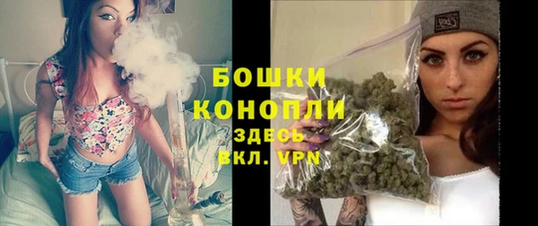 стаф Бронницы