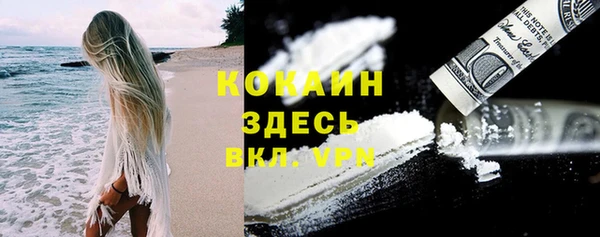 бошки Бородино