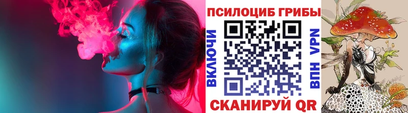 где продают   Томари  Галлюциногенные грибы GOLDEN TEACHER 